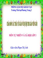 Bài 40 - Thực vật