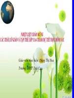 Bài 11  khu vực đông nam á 