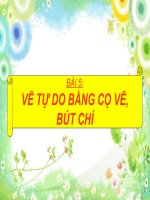 Chương II  bài 5 vẽ tự do bằng cọ vẽ, bút chì 1 