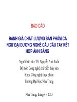 Đánh Giá Chất Lượng Sản Phẩm Cá Ngừ Đại Dương Nghề Câu Câu Tay Kết Hợp Ánh Sáng