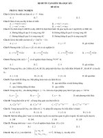 DE ON TAP KIEM TRA HOC KI i  LOP 11