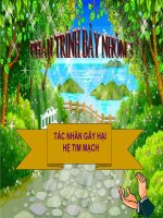 Vận chuyển máu qua hệ mạch  vệ sinh hệ tuần hoàn   sinh học 8 