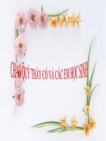 Bài 23  vùng bắc trung bộ 