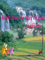 Tuần 11  ông trạng thả diều 