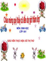 Bài 42  lớp hai lá mầm và lớp một lá mầm 