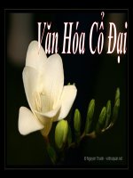 Bài 5  các quốc gia cổ đại phương tây (7) 