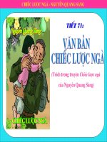 Bài 15  chiếc lược ngà 