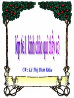 Bài 8  thời nguyên thuỷ trên đất nước ta 