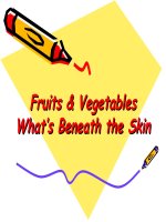 5 a  day the color way 