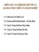 Bài giảng tài chính doanh nghiệp 2 CHIẾN lược tài CHÍNH PHÙ hợp với các GIAI đoạn PHÁT TRIỂN của DOANH NGHIỆP 