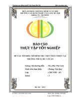 Báo cáo thực tập thư viện: Tìm hiểu mô hình thư viện thân thiện Trường THCS Chu Văn An