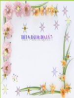 Bài 10  dân số và sức ép dân số tới tài nguyên, môi trường ở đới nóng 