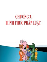 Bài giảng pháp luật đại cương chương 3 hình thức pháp luật 