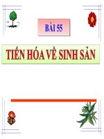 Bài 55   tiến hóa về sinh sản 