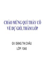 Cảnh ngày hè (bảo kính cảnh giới)   ngữ văn 10 