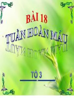 Bài 19  tuần hoàn máu (tiếp theo)   sinh học 11 