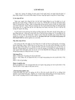 Sử dụng hình ảnh và từ ngữ trong quảng cáo trên truyền hình