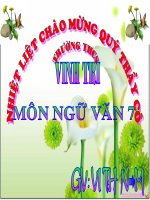 Bài 11  từ đồng âm2 
