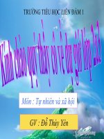 Môn  tự nhiên và xã hội thế nào là ăn uống đầy đủ 