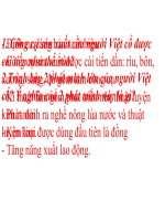 Bài 11  những chuyển biến về xã hội 