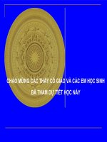 Bài 21  phong trào yêu nước chống pháp của nhân dân việt nam trong những năm cuối thế kỉ XIX 