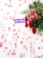 TUẦN 11 - CÂY XOÀI CỦA ÔNG EM (CHUẨN)