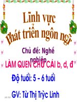 làm quen chữ b, d, đ tiết 1   phát triển ngôn ngữ 