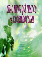 Bài 22  xã hội việt nam trong cuộc khai thác lần thứ nhất của thực dân pháp 