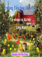 Tự nhiên và xã hội 1 Bài Con gà