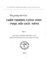 BÀI GIẢNG CHẤN THƯƠNG CHỈNH HÌNH, PHỤC HỒI CHỨC NĂNG, TẬP 2