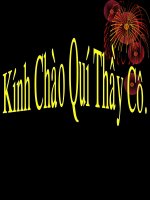 Bài 25  nhện và sự đa dạng của lớp hình nhện 