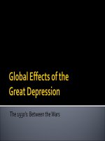 Global Effect sof the Great Depression