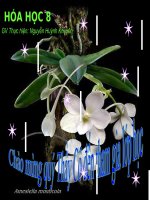 Bài 24  tính chất của oxi 