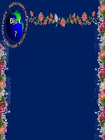 Bài 17  ô nhiễm môi trường ở đới ôn hòa 