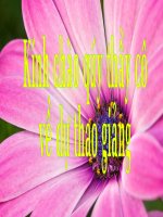 Bài 8  sống chan hoà với mọi người 