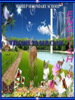 unit 1 a closer look 1 