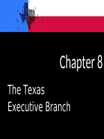 Governing TX CH08