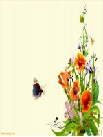 Bài 5  pháp luật và kỉ luật1 