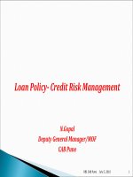 loan policy - credit risk management