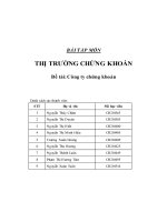 Đề tài Bài tập môn thị trường chứng khoán : công ty chứng khoán