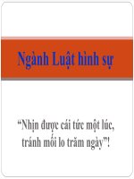 Bài giảng pháp luật đại cương chương 7 ngành luật hình sự 