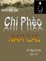 Tuần 13 chí phèo   ngữ văn 11 
