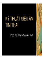 KỸ THUẬT SIÊU ÂM TIM THAI, PGS.TS. Phạm Nguyễn Vinh