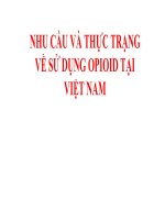 NHU cầu và THỰC TRẠNG về sử DỤNG OPIOID tại VIỆT NAM 