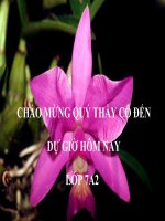 Bài 6  các quốc gia phong kiến đông nam á 