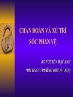 CHẨN ĐOÁN VÀ XỬ TRÍ SỐC PHẢN VỆ, BS NGUYỄN ĐẠT ANH (BM HSCC TRƯỜNG ĐHY HÀ NỘI)