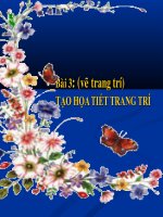 Bài 3   tạo họa tiết trang trí 