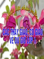 Bài 9  hoạt động và nghỉ ngơi 