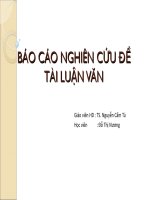 Các phương pháp xác định mối quan hệ đa nhãn và ứng dụng trong phân lớp đa nhãn tiếng Việt