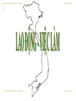 Bài 17  lao động và việc làm ` 